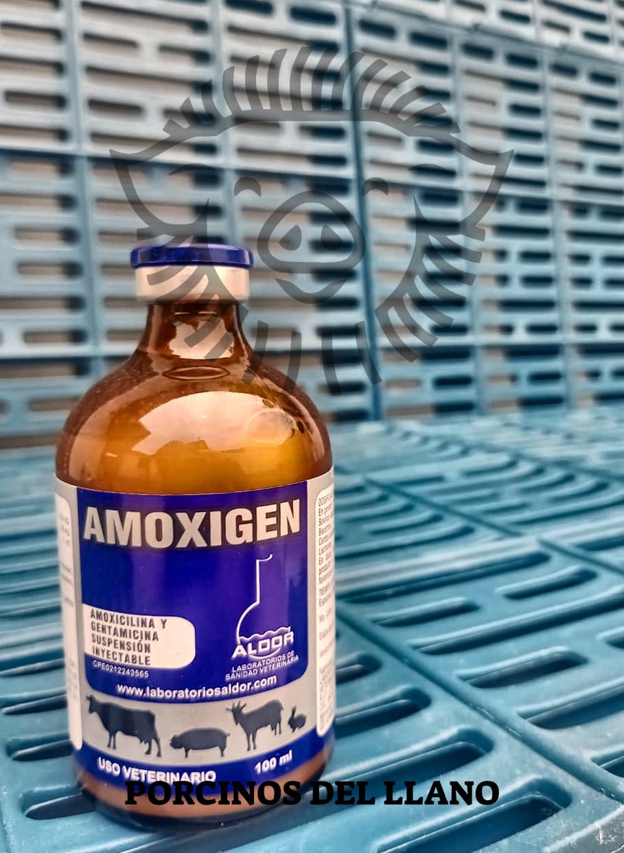 Amoxigen