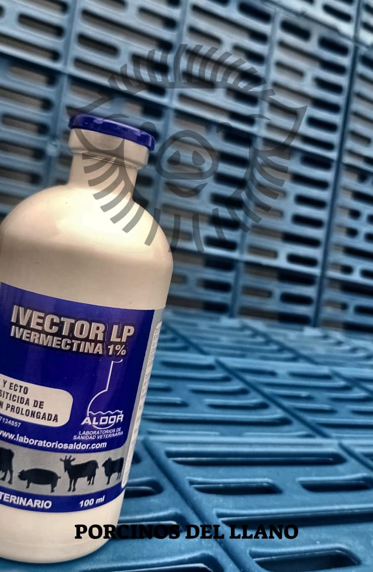 Ivector LP 1 %